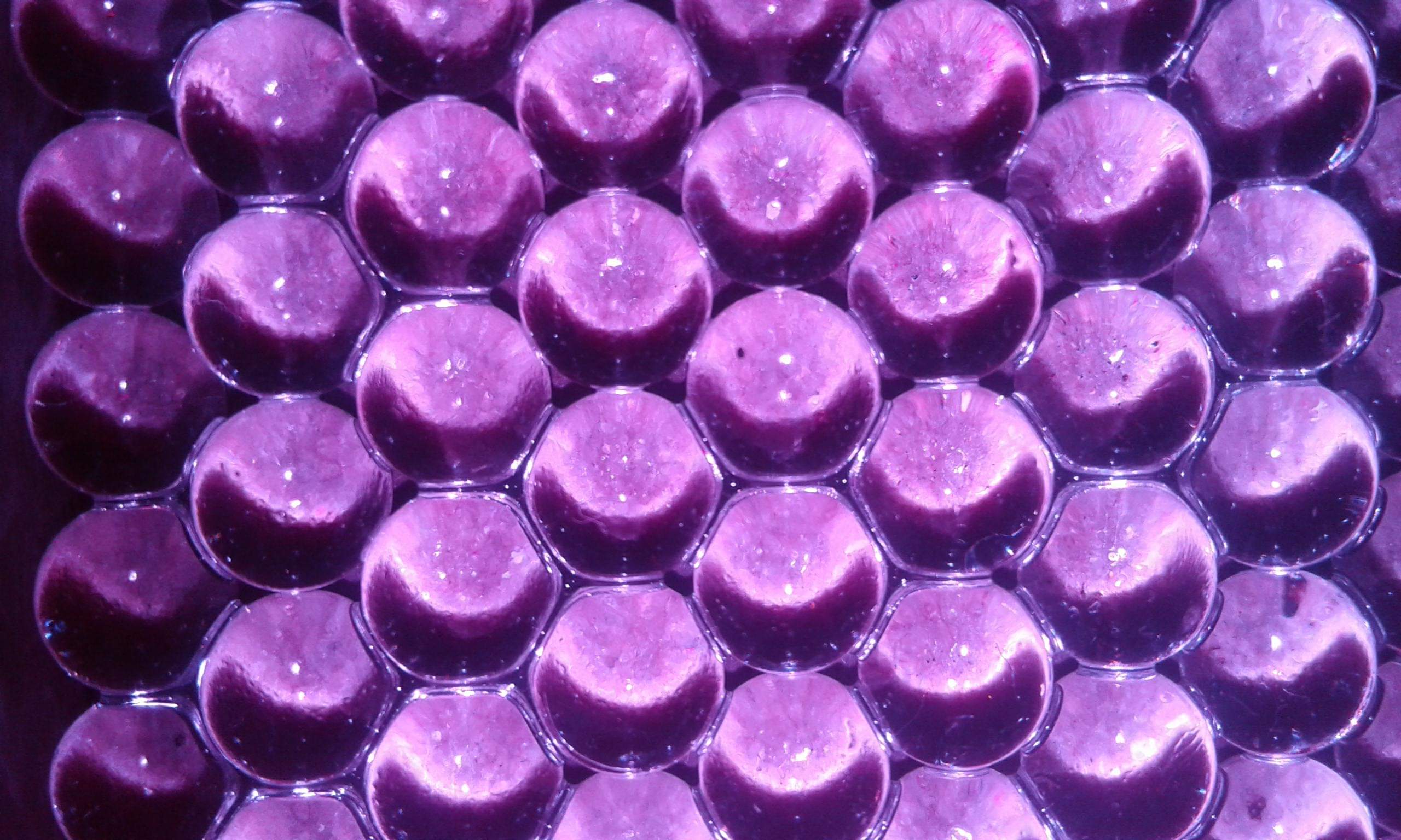 Orbeez Purple